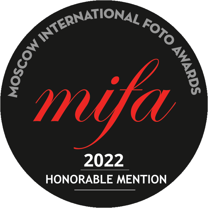 MIFA 2022 Honorable mention