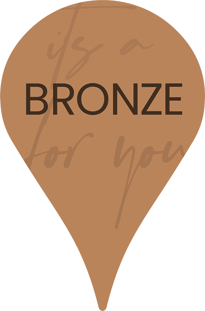 That tog spot bronze pin