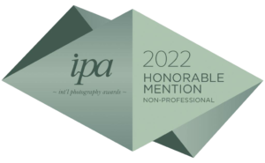 ipa honorable mention 2022