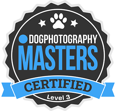 dog photography masters certified